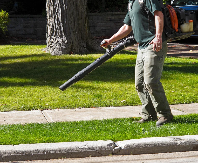 Yard cleanup