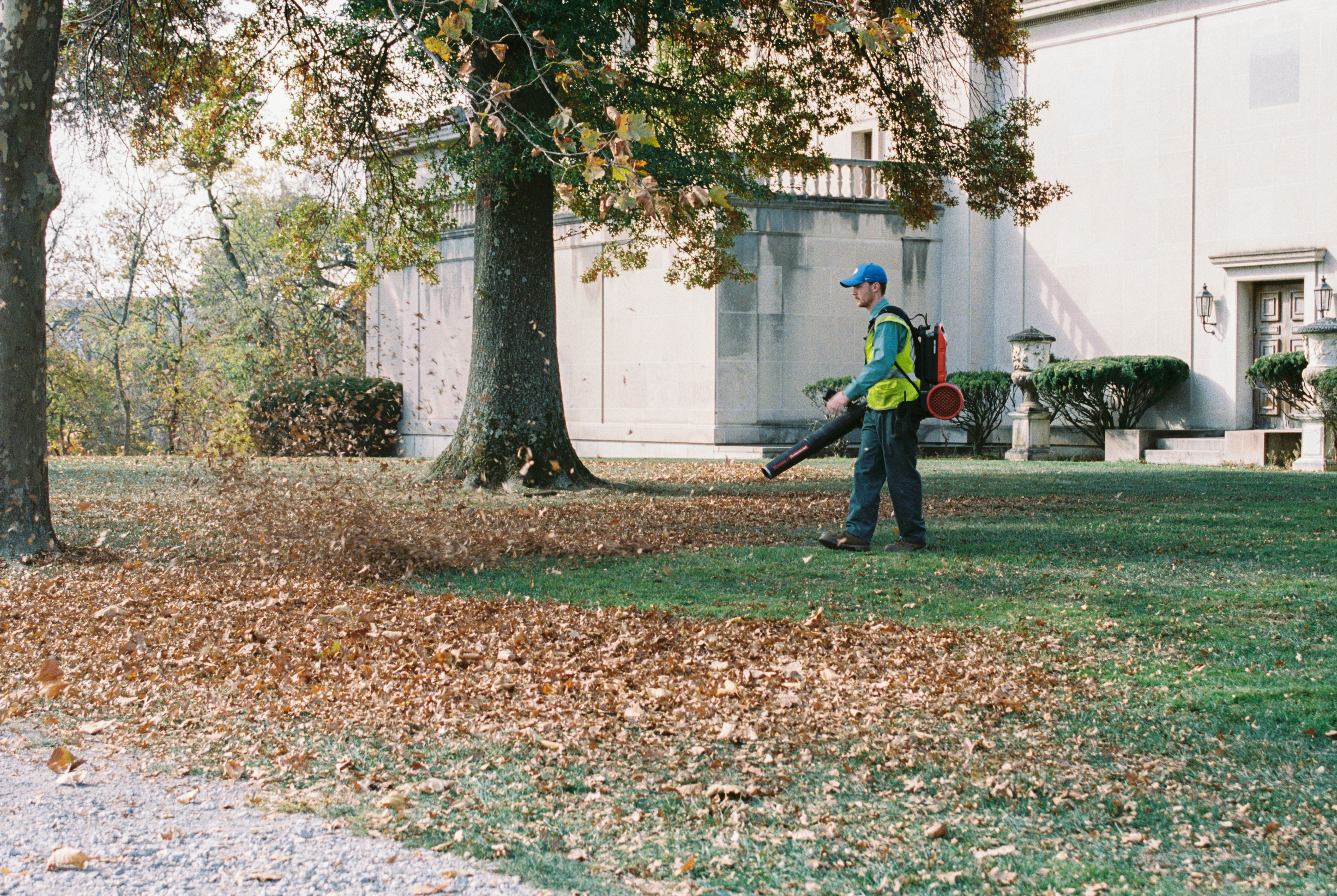 Commercial seasonal cleanup Austin