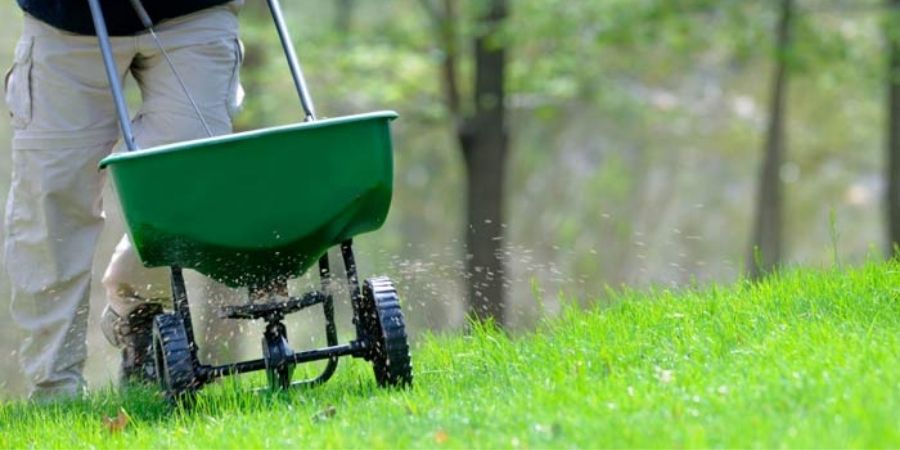 Lawn fertilizing Austin TX