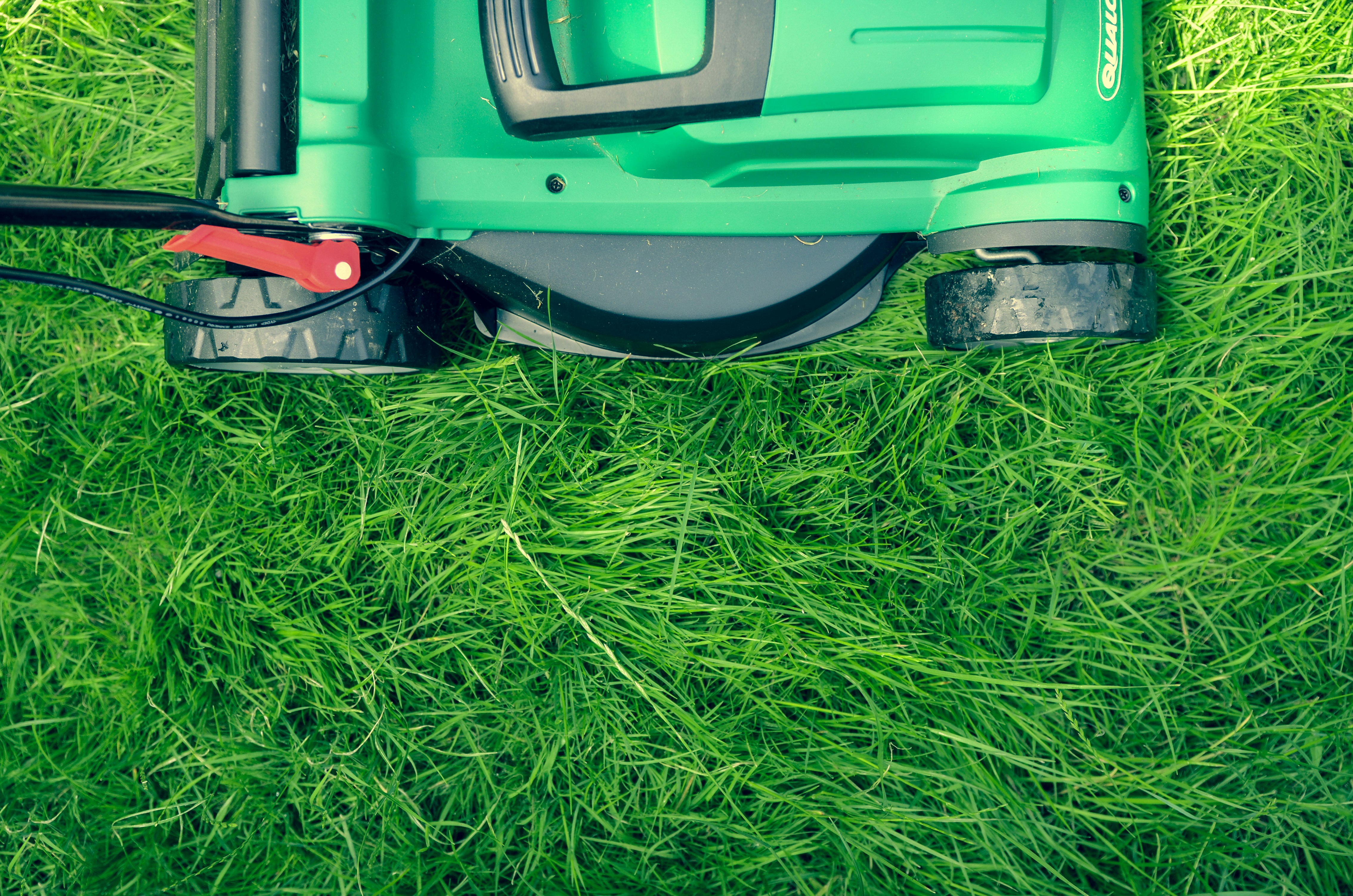 Freshly mowed Austin lawn