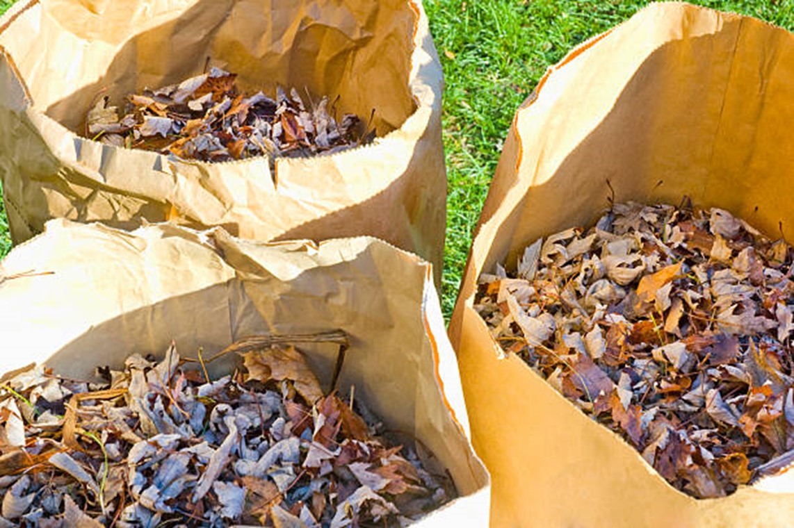 Commercial seasonal cleanup
